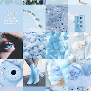 Meet your Posher, Isabela